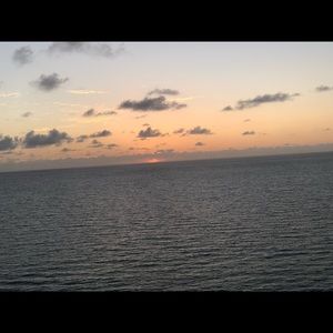 Meet your Posher, Darla